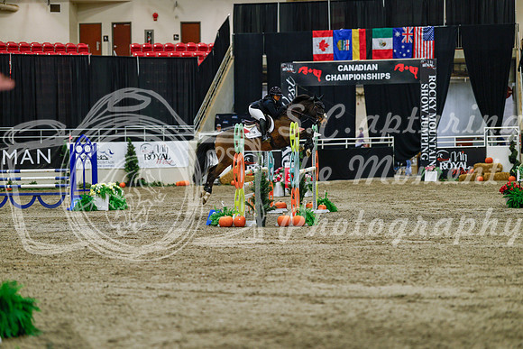 2025 - Haylee - Royal West - Saturday October 25th - 04458_1