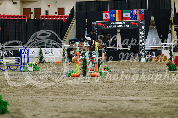 2025 - Haylee - Royal West - Saturday October 25th - 04460_1