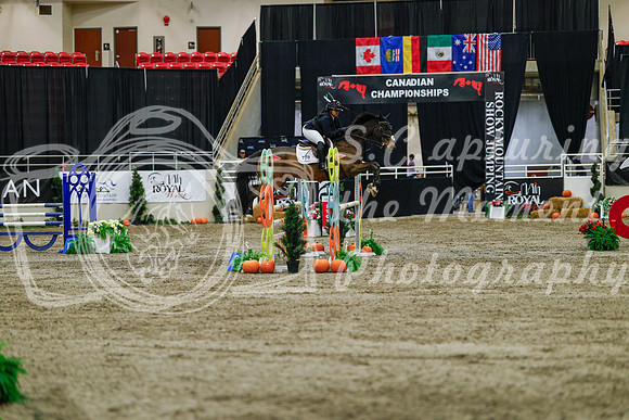 2025 - Haylee - Royal West - Saturday October 25th - 04461_1