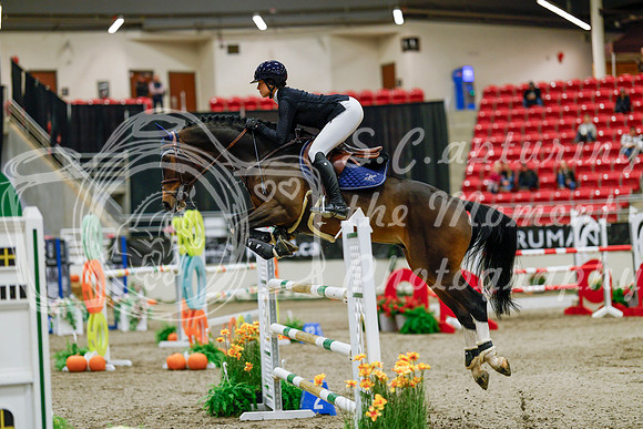 2025 - Haylee - Royal West - Saturday October 25th - 09396