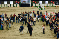 2025 - Haylee - Royal West - Saturday October 25th - 12947