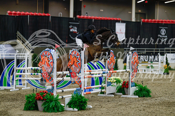 2025 - Haylee - Royal West - Saturday October 25th - 04470_1