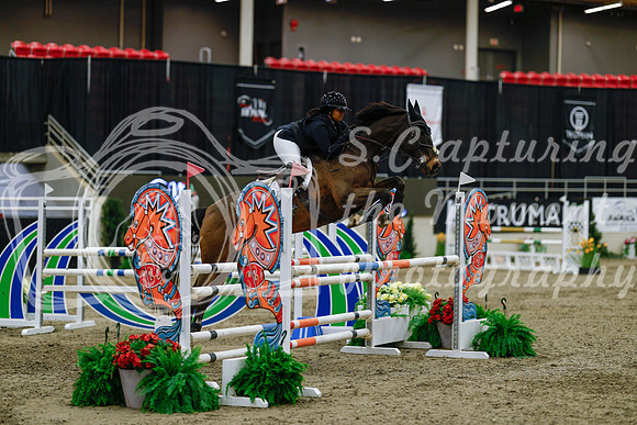 2025 - Haylee - Royal West - Saturday October 25th - 04471_1