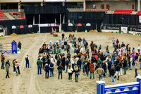 2025 - Haylee - Royal West - Saturday October 25th - 12956