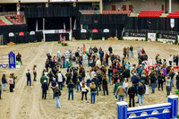 2025 - Haylee - Royal West - Saturday October 25th - 12957