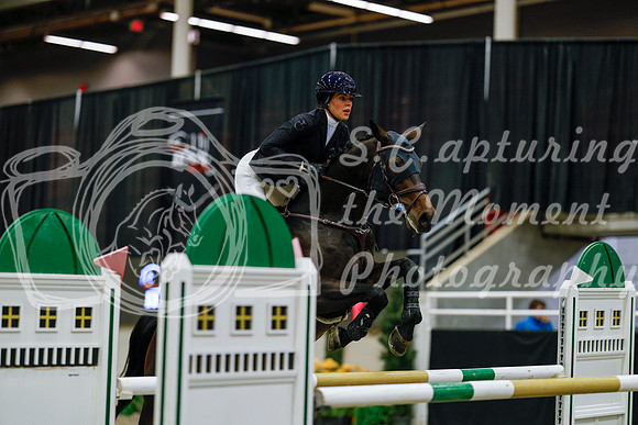 2025 - Haylee - Royal West - Saturday October 25th - 08685