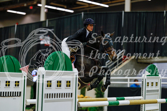 2025 - Haylee - Royal West - Saturday October 25th - 08686