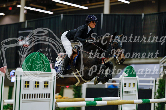 2025 - Haylee - Royal West - Saturday October 25th - 08690