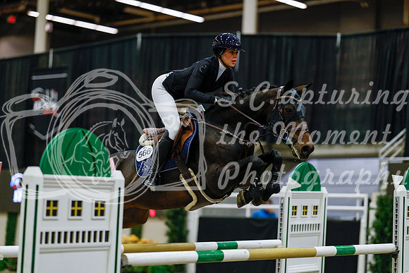 2025 - Haylee - Royal West - Saturday October 25th - 08691