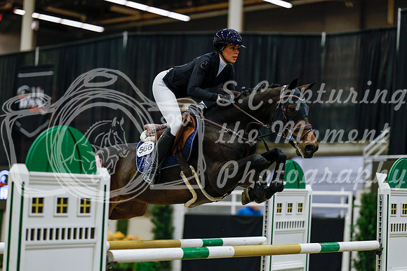 2025 - Haylee - Royal West - Saturday October 25th - 08692