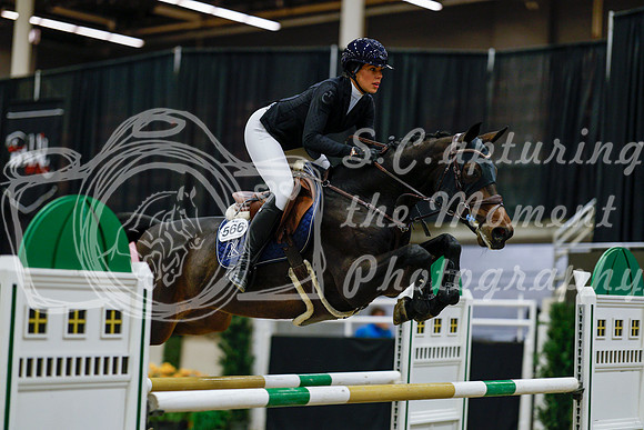 2025 - Haylee - Royal West - Saturday October 25th - 08693