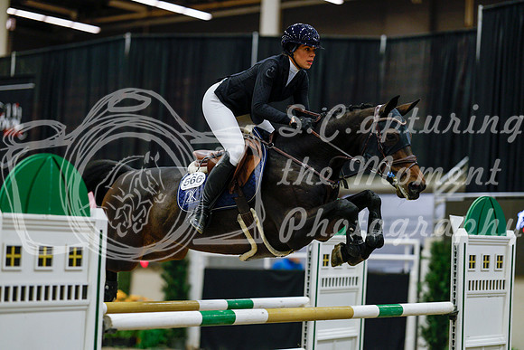 2025 - Haylee - Royal West - Saturday October 25th - 08694