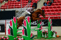 2025 - Haylee - Royal West - Saturday October 25th - 04776_1
