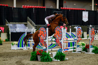 2025 - Haylee - Royal West - Saturday October 25th - 04784_1