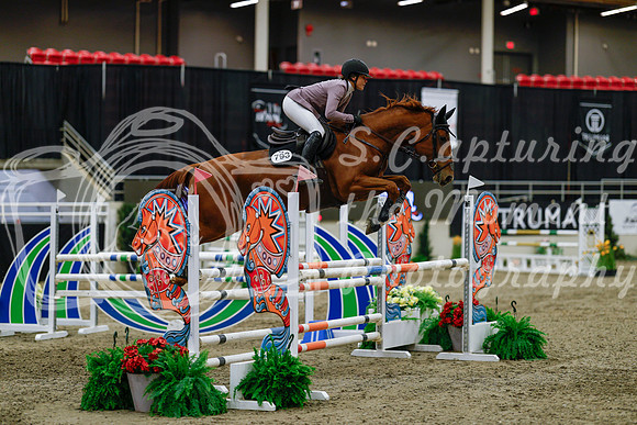 2025 - Haylee - Royal West - Saturday October 25th - 04792_1