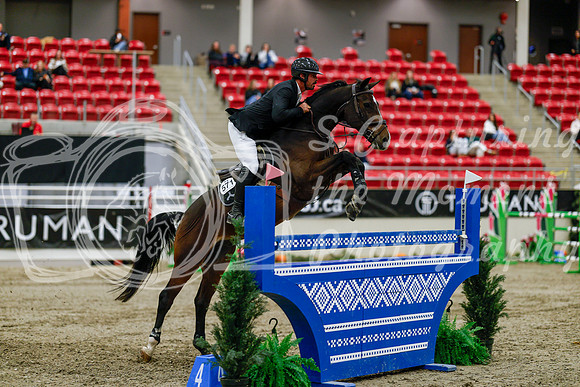 2025 - Haylee - Royal West - Saturday October 25th - 09665