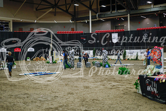 2025 - Haylee - Royal West - Saturday October 25th - 05537_1