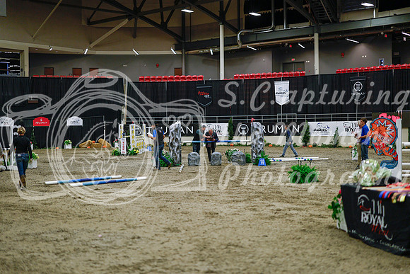 2025 - Haylee - Royal West - Saturday October 25th - 05539_1