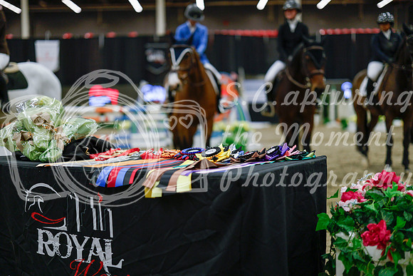 2025 - Haylee - Royal West - Saturday October 25th - 05544_1