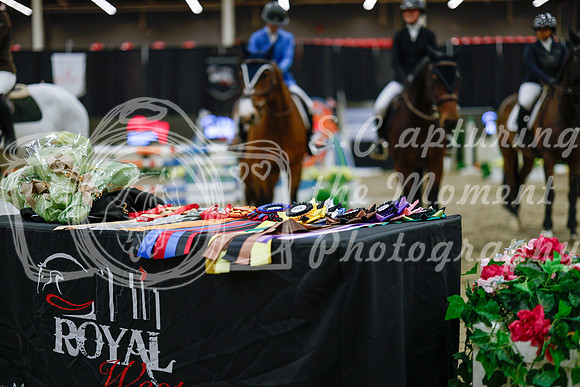 2025 - Haylee - Royal West - Saturday October 25th - 05546_1