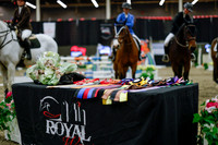 2025 - Haylee - Royal West - Saturday October 25th - 05547_1