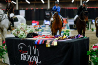 2025 - Haylee - Royal West - Saturday October 25th - 05548_1