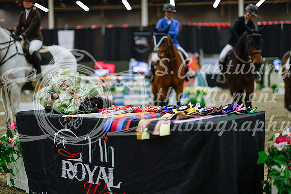 2025 - Haylee - Royal West - Saturday October 25th - 05548_1