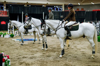2025 - Haylee - Royal West - Saturday October 25th - 05553_1