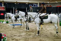 2025 - Haylee - Royal West - Saturday October 25th - 05552_1
