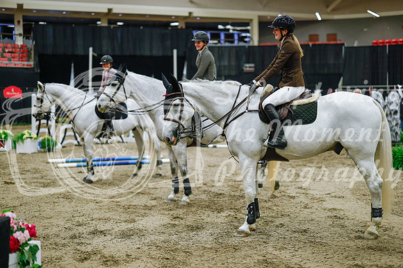 2025 - Haylee - Royal West - Saturday October 25th - 05554_1
