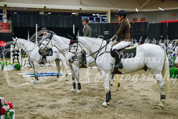 2025 - Haylee - Royal West - Saturday October 25th - 05556_1