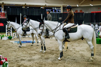 2025 - Haylee - Royal West - Saturday October 25th - 05555_1