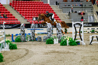 2025 - Haylee - Royal West - Saturday October 25th - 08895