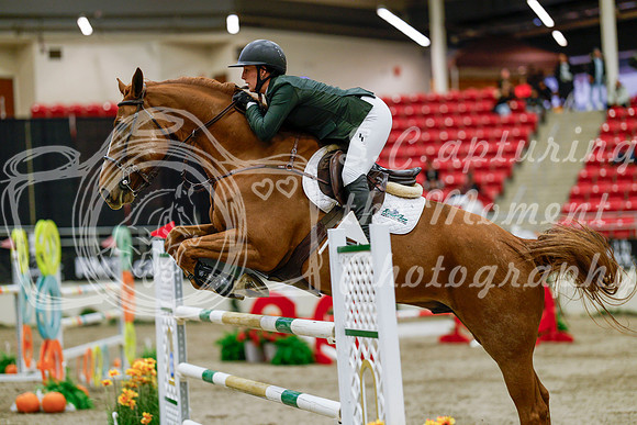 2025 - Haylee - Royal West - Saturday October 25th - 08902