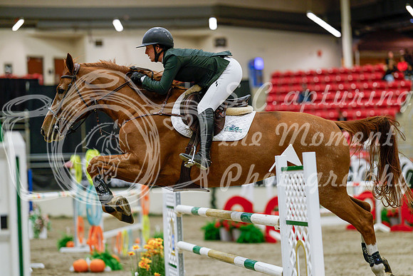 2025 - Haylee - Royal West - Saturday October 25th - 08907