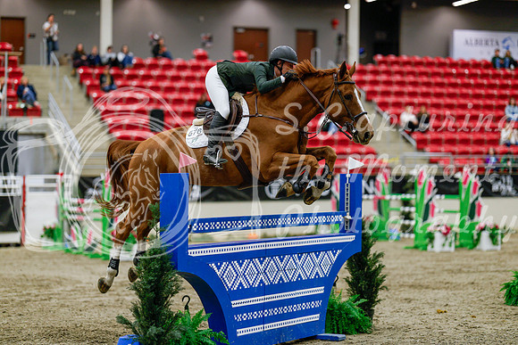 2025 - Haylee - Royal West - Saturday October 25th - 08918