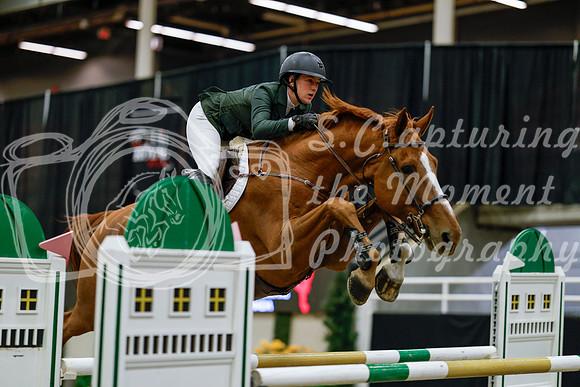 2025 - Haylee - Royal West - Saturday October 25th - 08927