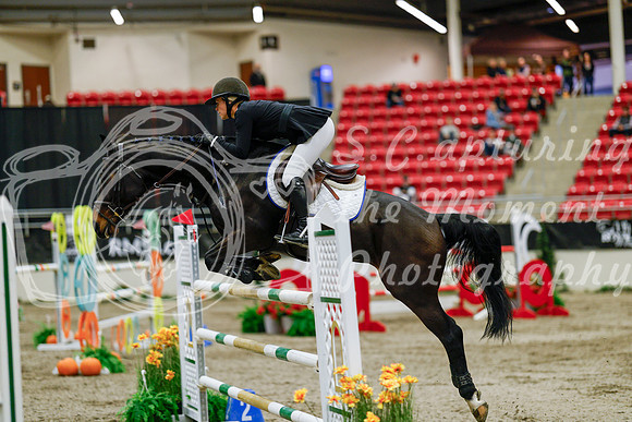 2025 - Haylee - Royal West - Saturday October 25th - 09731