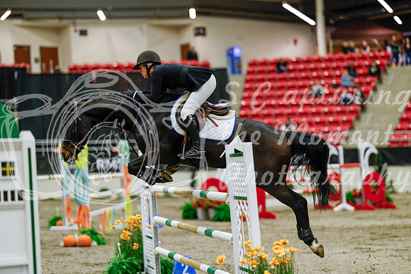 2025 - Haylee - Royal West - Saturday October 25th - 09733