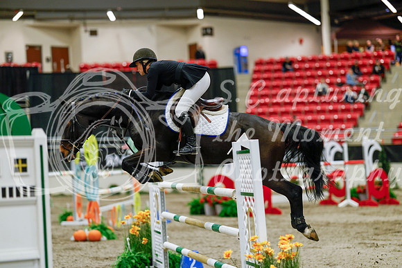 2025 - Haylee - Royal West - Saturday October 25th - 09734