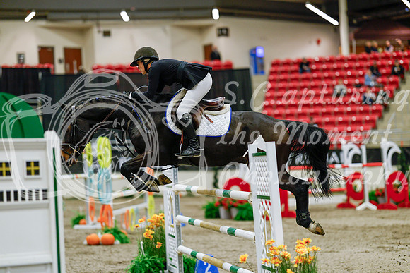 2025 - Haylee - Royal West - Saturday October 25th - 09735
