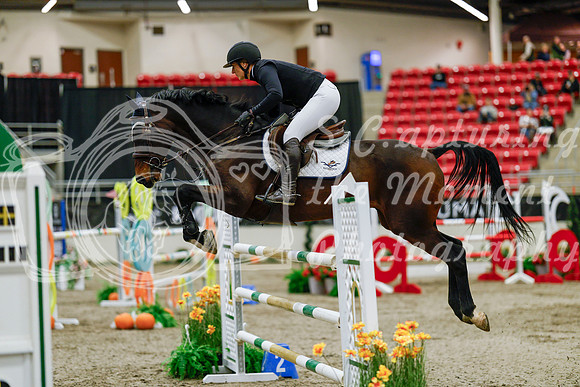 2025 - Haylee - Royal West - Saturday October 25th - 09584
