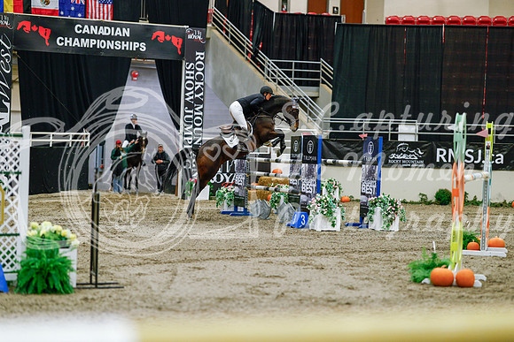 2025 - Haylee - Royal West - Saturday October 25th - 09585