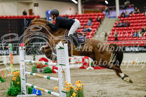 2025 - Haylee - Royal West - Saturday October 25th - 09878