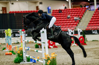 2025 - Haylee - Royal West - Saturday October 25th - 09426
