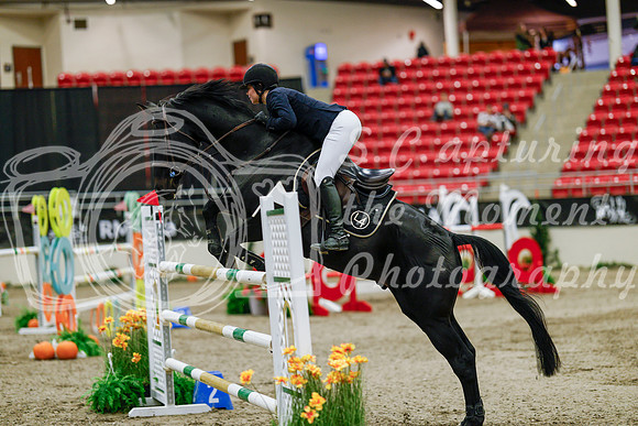 2025 - Haylee - Royal West - Saturday October 25th - 09426