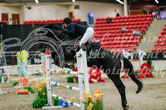 2025 - Haylee - Royal West - Saturday October 25th - 09428