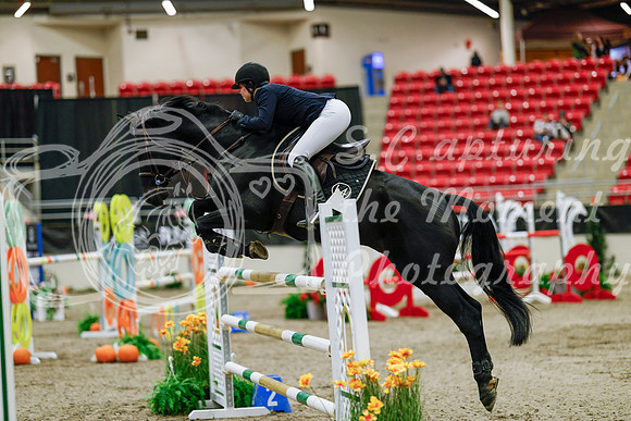 2025 - Haylee - Royal West - Saturday October 25th - 09430