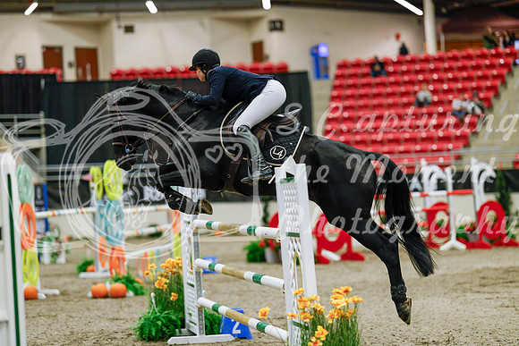 2025 - Haylee - Royal West - Saturday October 25th - 09431