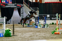 2025 - Haylee - Royal West - Saturday October 25th - 10074